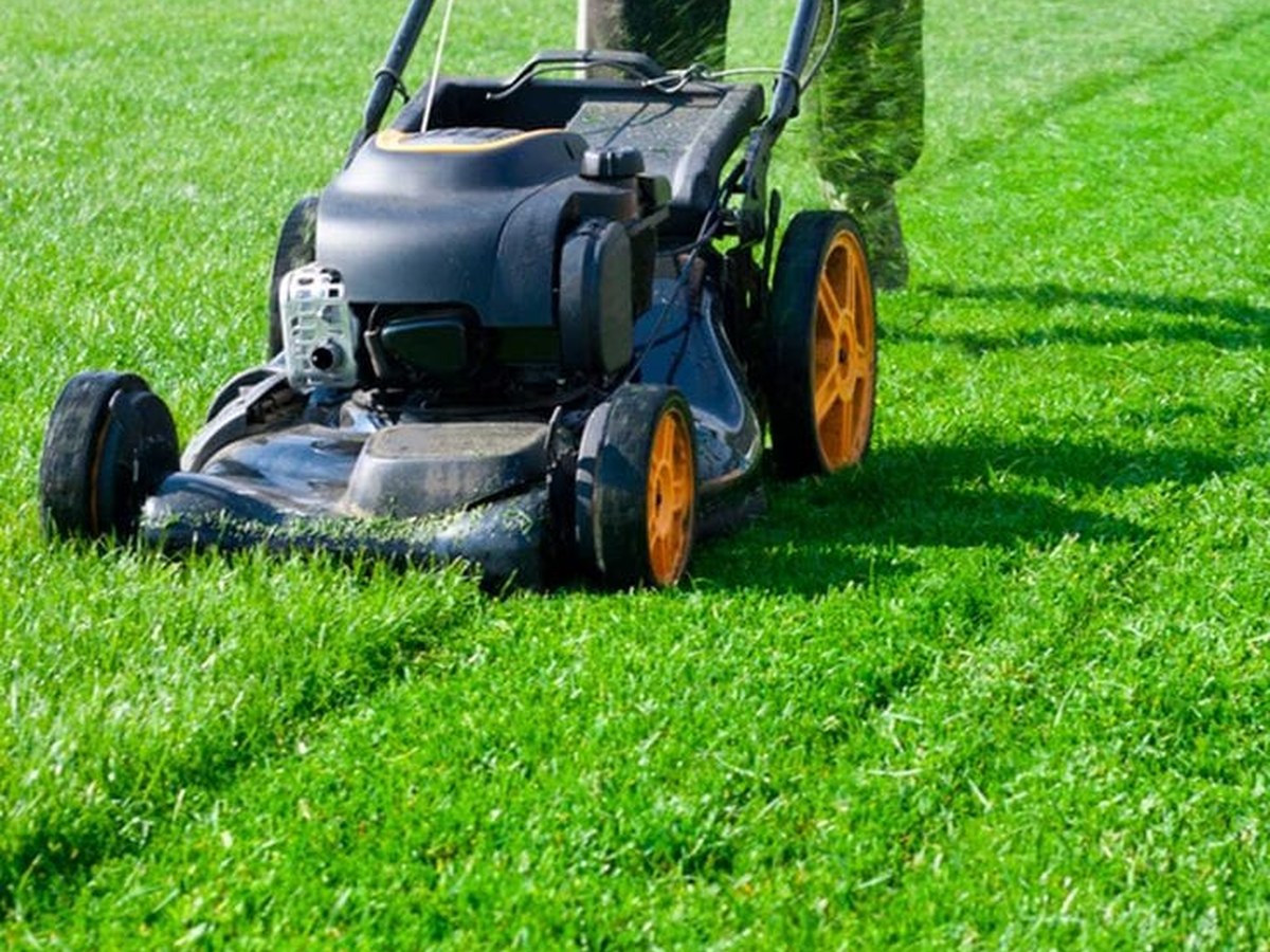 Garden maintenance and AMC service
