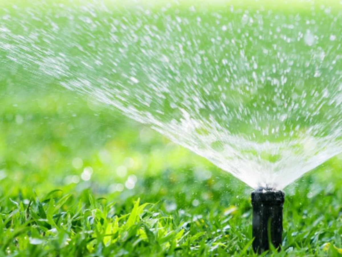 Irrigation and water management system